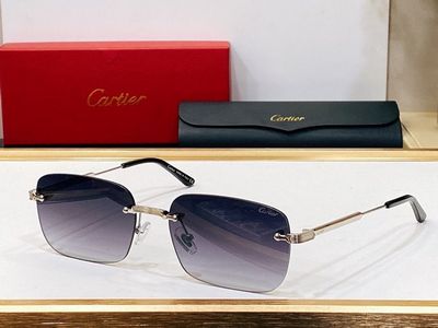 Cartier Sunglasses 685
